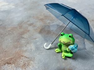 雨宿りするかえるの置物